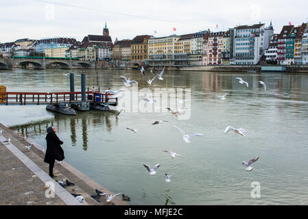 Hipster Mann füttern Möwen auf Basel riverfront gegenüber der Basler Altstadt (Altstadt) auf den Fußweg entlang des Rheins. Stockfoto