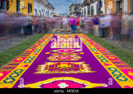 Sägemehl Teppich für die Karfreitagsprozession in der Karwoche 2017 in Antigua, Guatemala, Mittelamerika Stockfoto