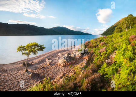 Kanu Loch Ness Abschnitt des Caledonian Canal, in der Nähe von Fort Augustus, Scottish Highlands, Schottland, Großbritannien, Europa Stockfoto