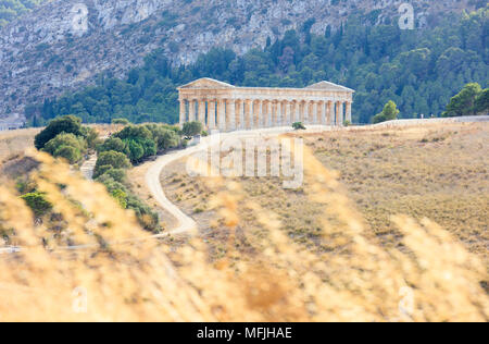 Tempel von Segesta, Calatafimi, Provinz Trapani, Sizilien, Italien, Europa Stockfoto