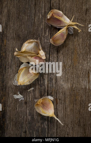 Still life Fotografie im Studio von Knoblauch auf einem urigen, Holz- Hintergrund genommen. Stockfoto