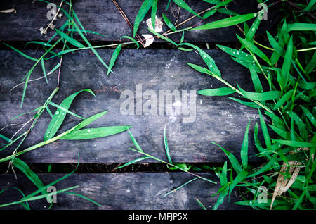 Mit dunklen Holzmöbeln und Holzfußboden mit Rahmen grünes Gras, Rahmen von grünen Blätter auf dem Holz. Stockfoto