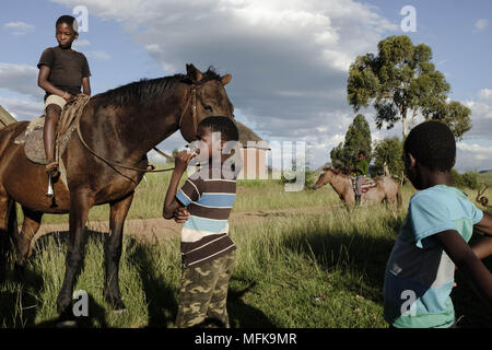 November 29, 2016 - Matatiele, östliches Kap, Südafrika - Jungen sitzen auf ihren Pferden und für eine Fahrt gehen. (Bild: © Stefan Kleinowitz über ZUMA Draht) Stockfoto