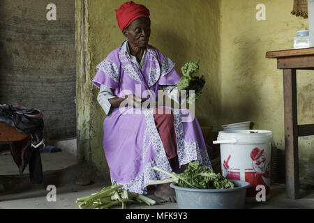 Matatiele, Eastern Cape, Südafrika. 10 Jan, 2018. Mathilda, 78, sitzt in der Küche und wäscht frischen Spinat aus ihrem Garten. Quelle: Stefan Kleinowitz/ZUMA Draht/Alamy leben Nachrichten Stockfoto