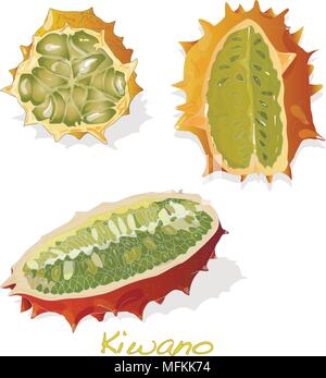 Kiwano Melone auf weißem Hintergrund Abbildung Stock Vektor