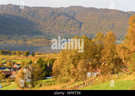 Natur in Geilo Hardangervidda Plateau, Norwegen, Europa. Stockfoto