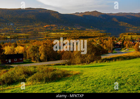 Natur in Geilo Hardangervidda Plateau, Norwegen, Europa. Stockfoto