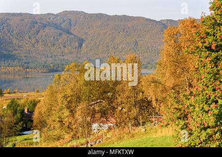 Natur in Geilo Hardangervidda Plateau, Norwegen, Europa. Stockfoto