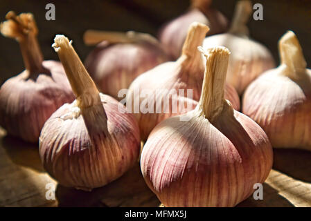Sonnenlicht ray auf Knoblauch, die auf Holz Tisch in der Küche legen Stockfoto