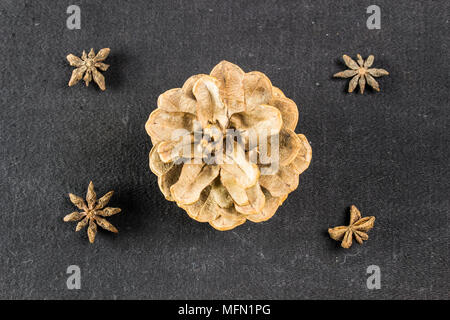 Pine Cone auf dunklen schwarzen Hintergrund Weihnachten Deko Stockfoto