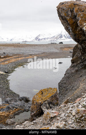 An einem bewölkten Tag in Spitzbergen, Norwegen Stockfoto