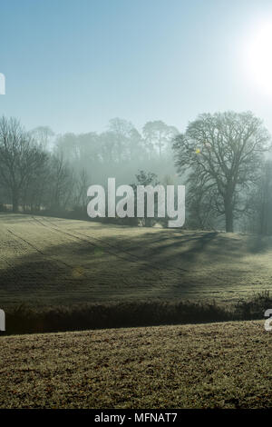 Eine perfekte Misty und frostigen Morgen in den Cotswolds Stockfoto