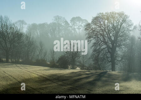 Eine perfekte Misty und frostigen Morgen in den Cotswolds Stockfoto