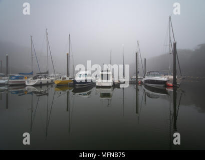Perfekte Reflexionen an einem nebligen Morgen im Neyland Marina, Pembrokeshire. Stockfoto