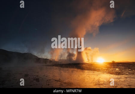 Geysire in Island. Fantastische kolory. turysty beobachten Sie die Schönheit der Welt Stockfoto