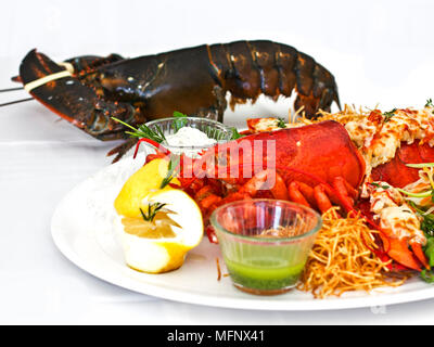 Leben und gekochten Hummer mit dem Gemüse auf einem weißen Teller serviert. Isoliert Stockfoto
