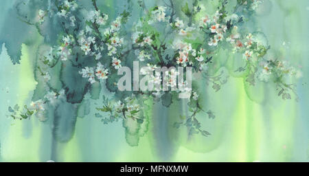 Cherry Blossom Aquarell Hintergrund Stockfoto