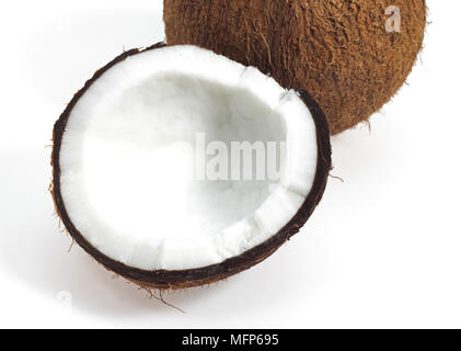 Kokosnuss, Cocos Nucifera, Obst vor weißem Hintergrund Stockfoto