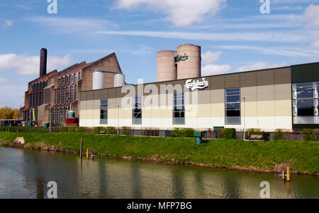 Brauerei Carlsberg und den Fluss Nene, Northampton, Northamptonshire, England, Großbritannien Stockfoto