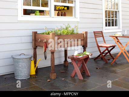 Kräuter wachsen im Fach auf hölzernen Pflanztisch, New York, USA Stockfoto