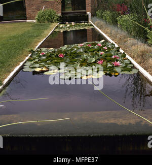 Zeitgenössische Wasserspiel mit Seerosen Stockfoto
