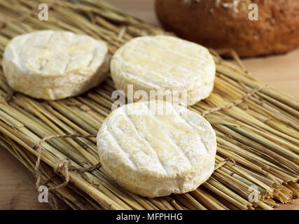 Französische Käse namens Saint-Marcellin aus Kuhmilch hergestellt Stockfoto