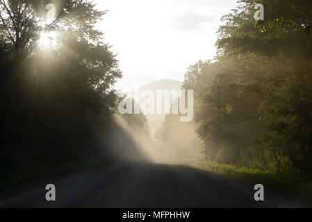 Der Lichtstrahl auf der mystischen Weg im Wald Stockfoto