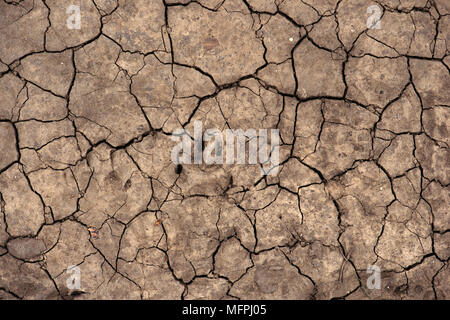 Risse im trockenen Boden Boden Textur für Dürre Jahreszeit Hintergrund Stockfoto