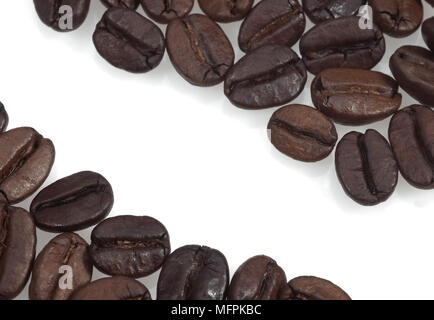 Kaffeebohnen, coffea arabica vor weißem Hintergrund Stockfoto