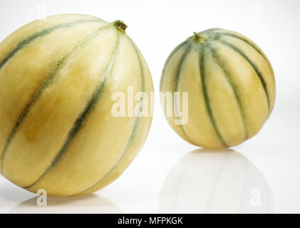 Cavaillon-Melone, Cucumis Melo, Obst auf weißem Hintergrund Stockfoto