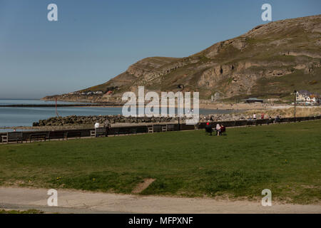 Strand bei Ebbe. Llandudno, mit dem Great Orme im Hintergrund. Conwy. Wales Stockfoto