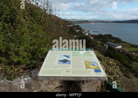 Interpretation an. Gogarth Nature Reserve. Den Great Orme. Conwy. Wales Stockfoto