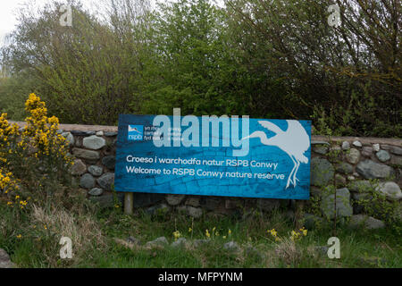 Conwy RSPB Reservat. Comwy. Wales Stockfoto