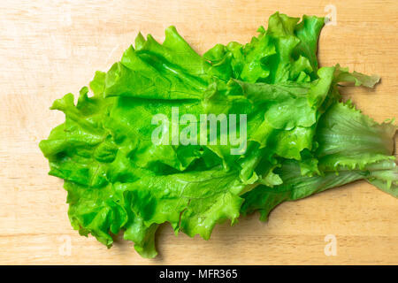 Stapel von frischen und Curly organische letucce Köpfe. Ernte Haufen frisch geschnittenen grünen Salat Blätter auf Holztisch. Saubere Konzept essen. Gesunde vegeteria Stockfoto