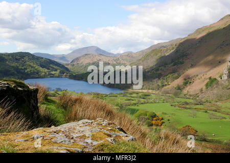 Blick nach Süden im Sommer von A498 zum Llyn Gwynant in Snowdonia, ein sehr beliebtes Gebiet für Wanderer und Camper. Stockfoto