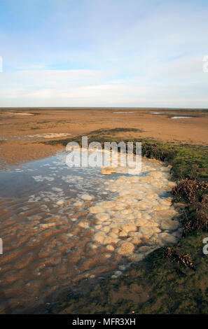 Ein Schaum- oder Algenblüte in eine Flutwelle pool eingeschlossen auf Salzwiesen bei Stiffkey in Nord Norfolk, in einem bestimmten Gebiet von außergewöhnlicher natürlicher Schönheit. Stockfoto