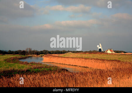 Eine Landschaft von Norfolk Broads an Reedham im Winter im hellen Sonnenlicht am frühen Morgen. Stockfoto