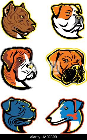 Maskottchen Symbol Abbildung der Staats Bulldoggen und Terrier wie die Spanische Bulldog oder alano Espanol, American Bulldog, Boxer Hund, Bullmastiff, Le Stock Vektor