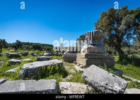 Die Ruinen der antiken Stadt Teos, Seferihisar, Izmir, Türkei Stockfoto