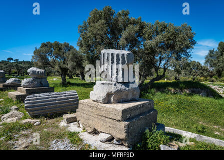 Die Ruinen der antiken Stadt Teos, Seferihisar, Izmir, Türkei Stockfoto