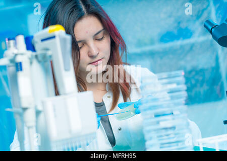 Technikerin im medizinischen Labor, Krankenhaus Petrischale Test Stockfoto