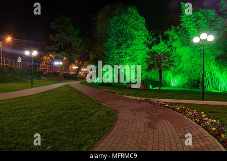 Nacht Landschaft mit Fußweg, Straßenbeleuchtung und beleuchteten Bäume auf der Festivalny Square, Sochi, Russland Stockfoto