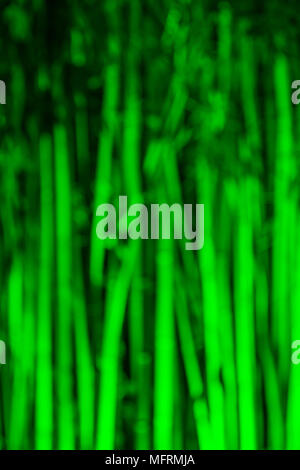 Hintergrundbild von unscharfen Bamboo Grove durch grünes Licht in der Nacht Nahaufnahme beleuchtet Stockfoto