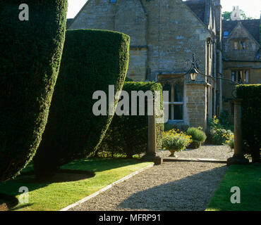 Formgehölze Stauden in Garten von country style house Stockfoto