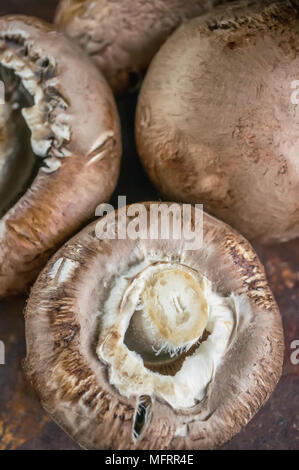 Frische große Portobello Royal Pilze mit Senf Keimsprossen close-up. Stockfoto