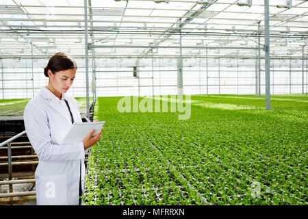 Schönen Kaukasischen landwirtschaftlicher Ingenieur stehen in geräumigen industrielle Gewächshaus mit wachsenden Pflanzen und Schreiben Notizen in Pad Stockfoto