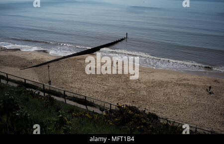 Hund Spaziergänger auf Hotel Southbourne beach Bournemouth genießt die sonnigen warmen Wetter. Stockfoto