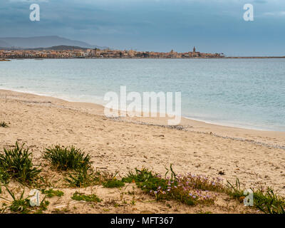 Sand Strand in der Nähe der Altstadt von Alghero, Sardinien, Italien Stockfoto