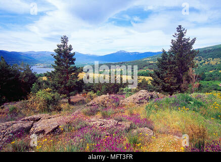 Landschaft von Navafria Mountain Pass. Lozoya Tal, Sierra de Guadarrama Nationalpark, Provinz Madrid, Spanien. Stockfoto