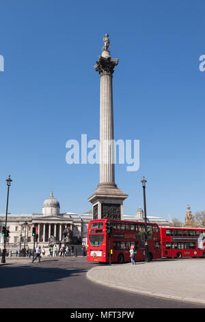 Nelson Säule, Trafalgar Square, London, UK. Stockfoto